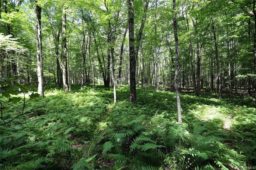 0 Route 17B - Photo 1