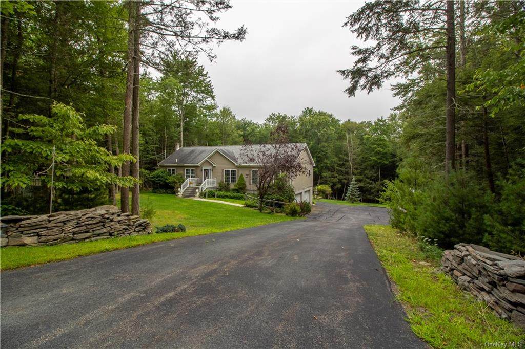 437 Upper Pine Kill Road - Photo 1