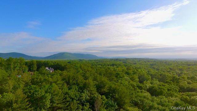 219 Smithtown Road - Photo 1