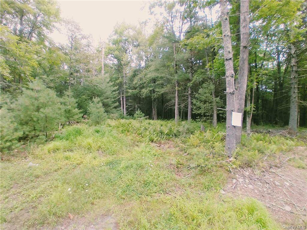 Lot 7 Haring Road - Photo 1