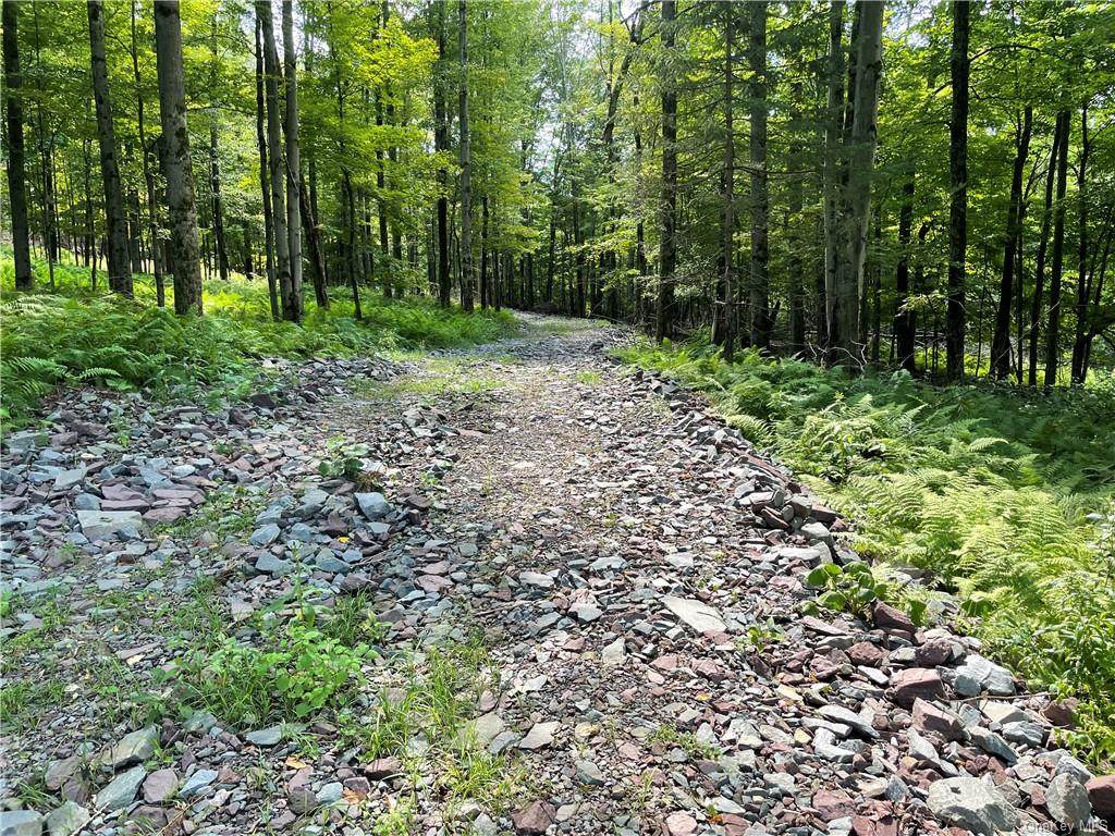 00 Boband Road - Photo 1
