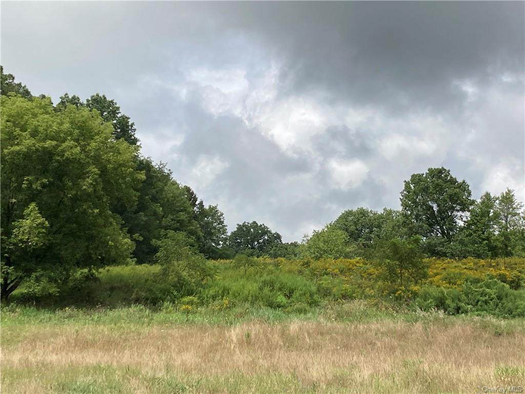 Searsville Road - Photo 1