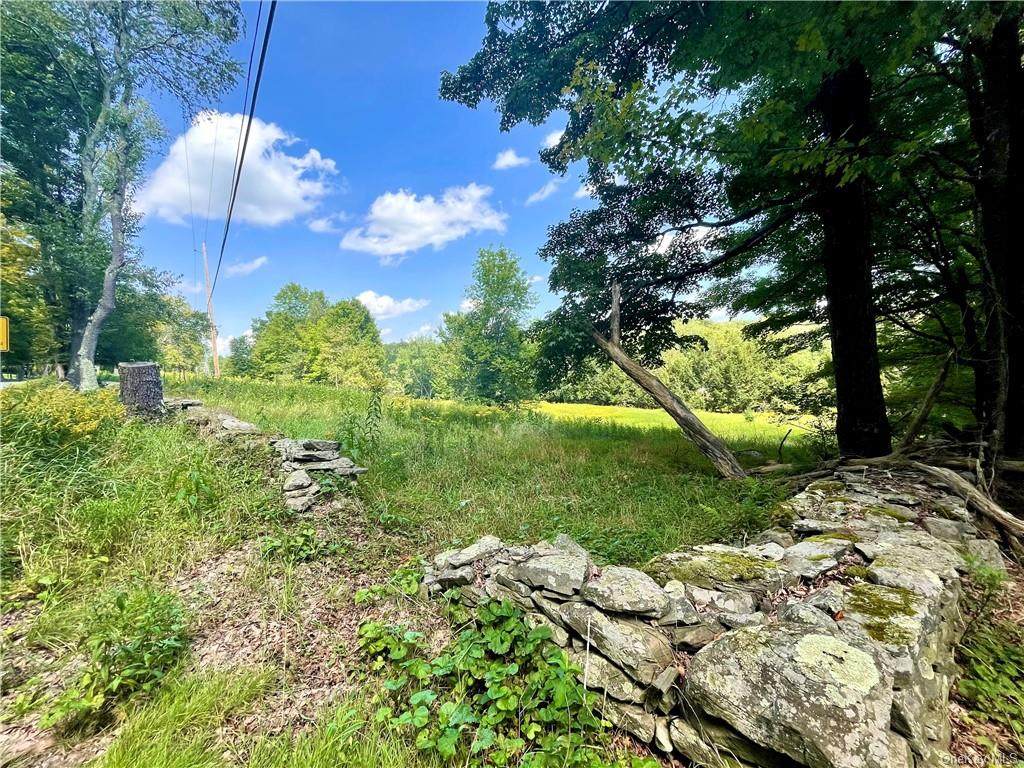 Hurd Road Tr 48 Road - Photo 1