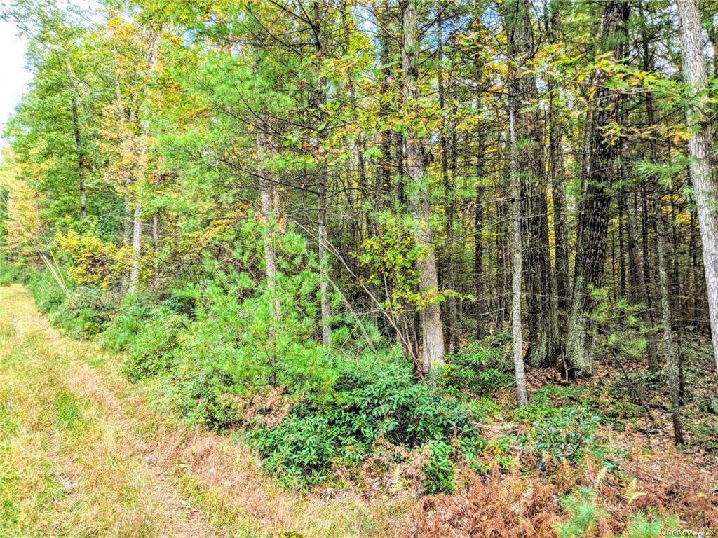 Lot 18.19 Geba Drive - Photo 1
