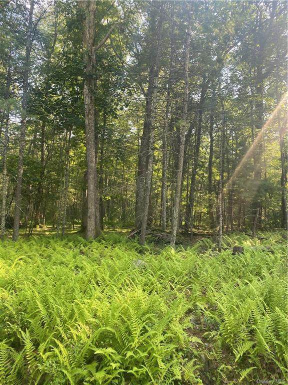 Mud Pond Road - Photo 1