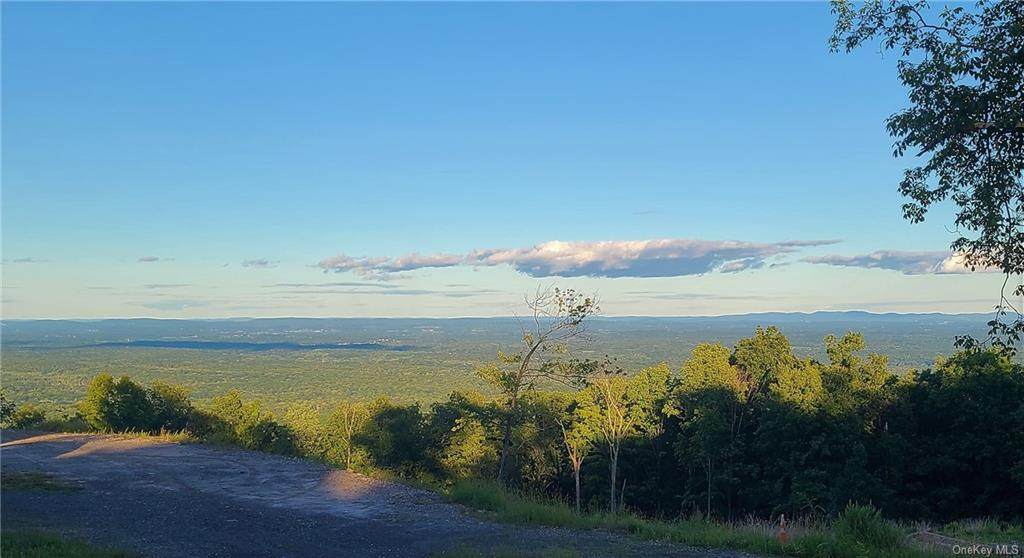 89 Fire Tower Road - Photo 1