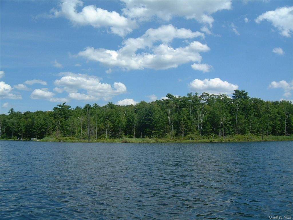 Lot 5.3 York Lake Road Drive - Photo 1