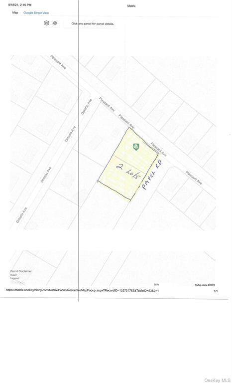 Pleasant Ave/Sheridan Street - Photo 1