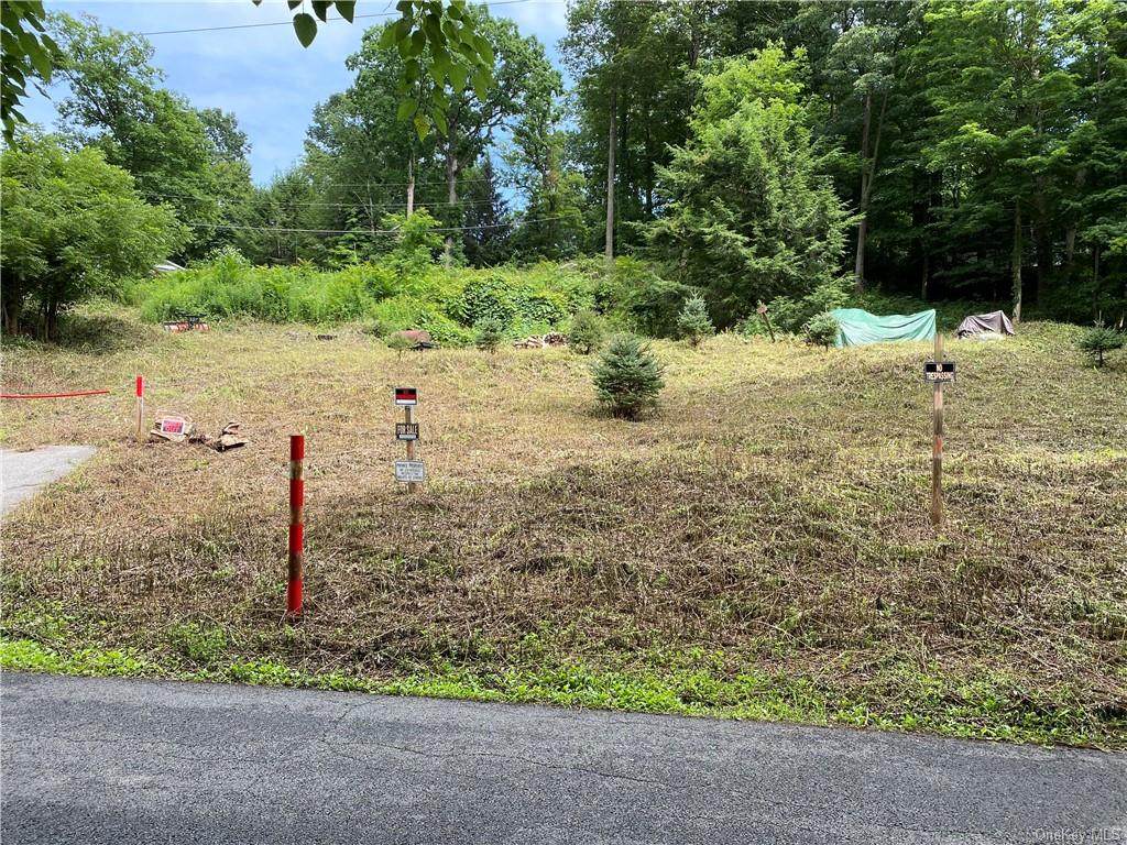44 Steuben Road - Photo 1