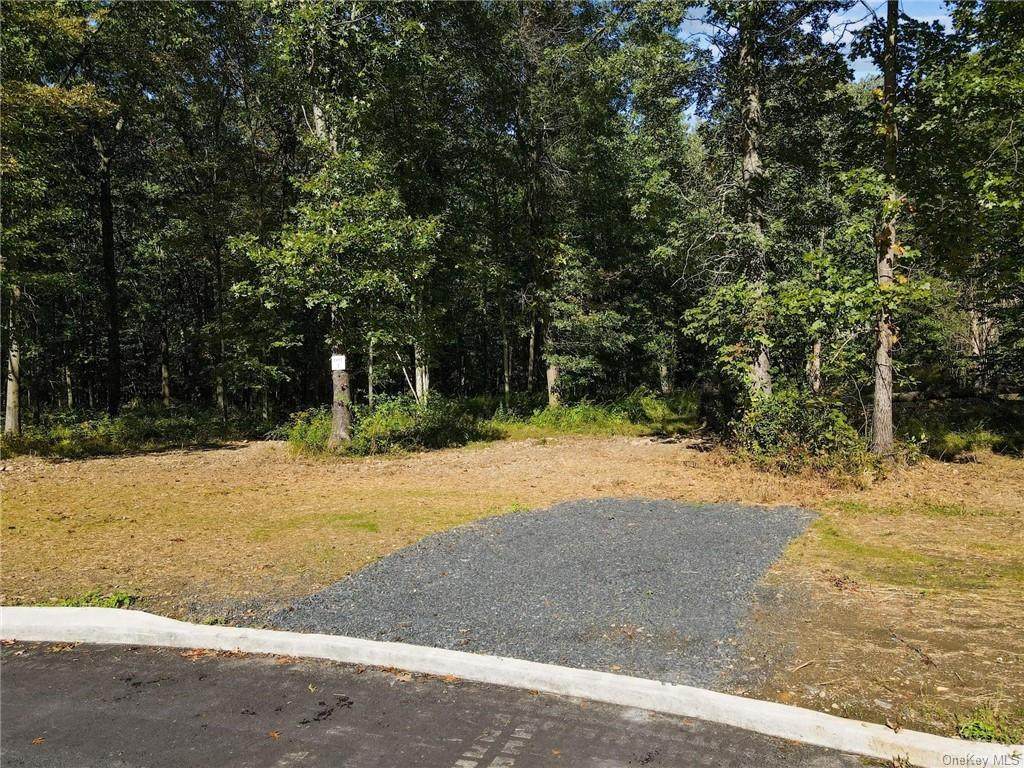 Lot #1 St Elmo Road - Photo 1