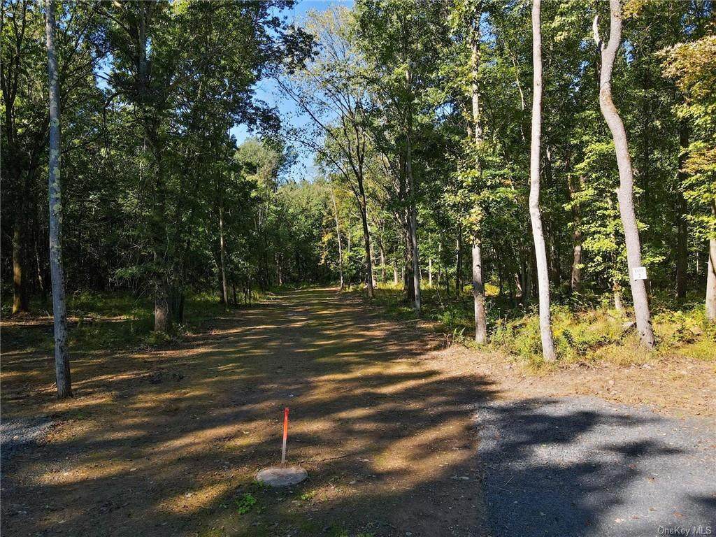 Lot #2 St Elmo Road - Photo 1