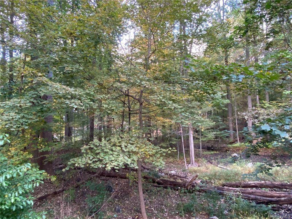 20 Dogwood Lane - Photo 1
