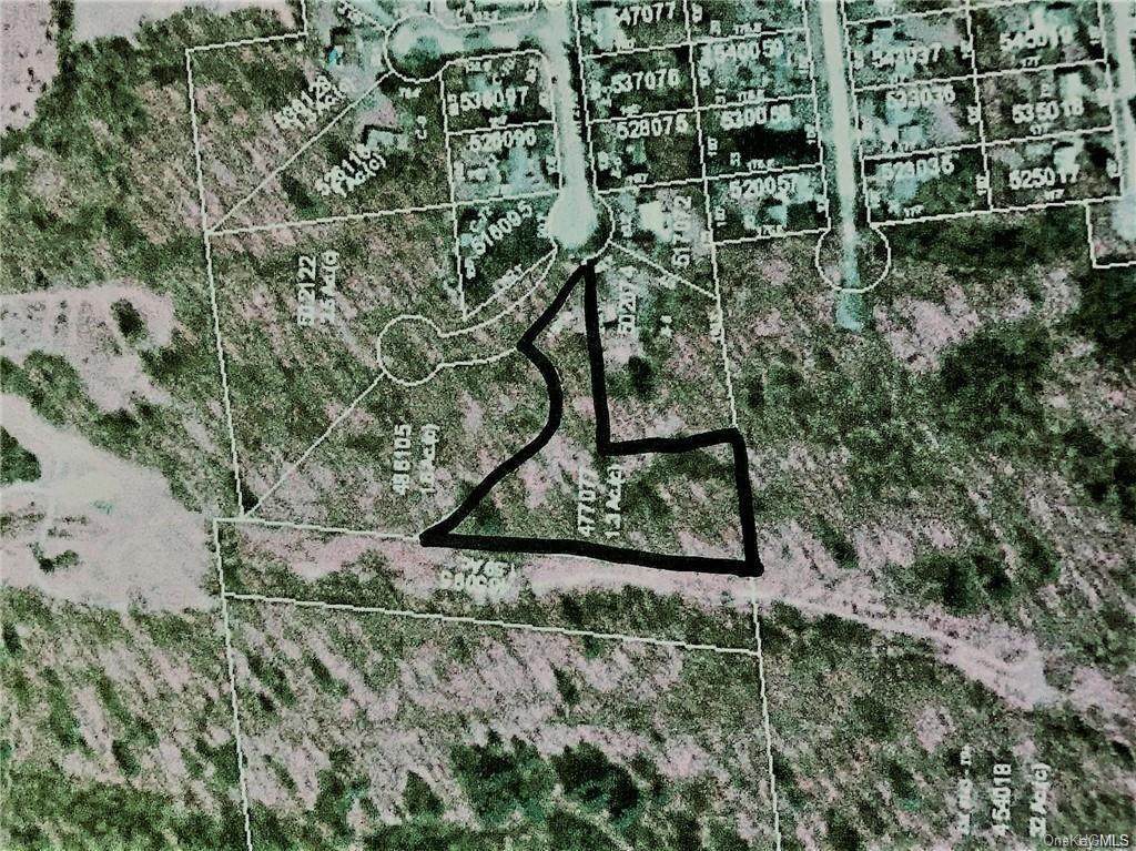 19 Crum Elbow Drive - Photo 1
