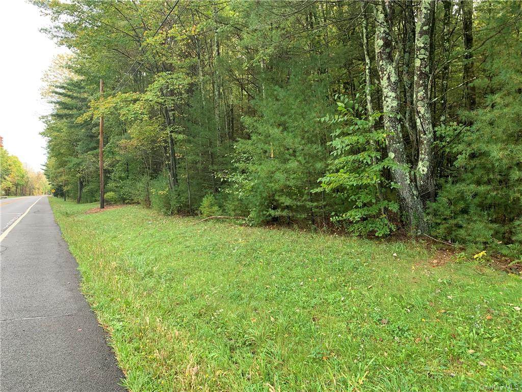 TBD Route 52 - Photo 1