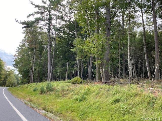 Lot 18.14 Nys 97 - Photo 1