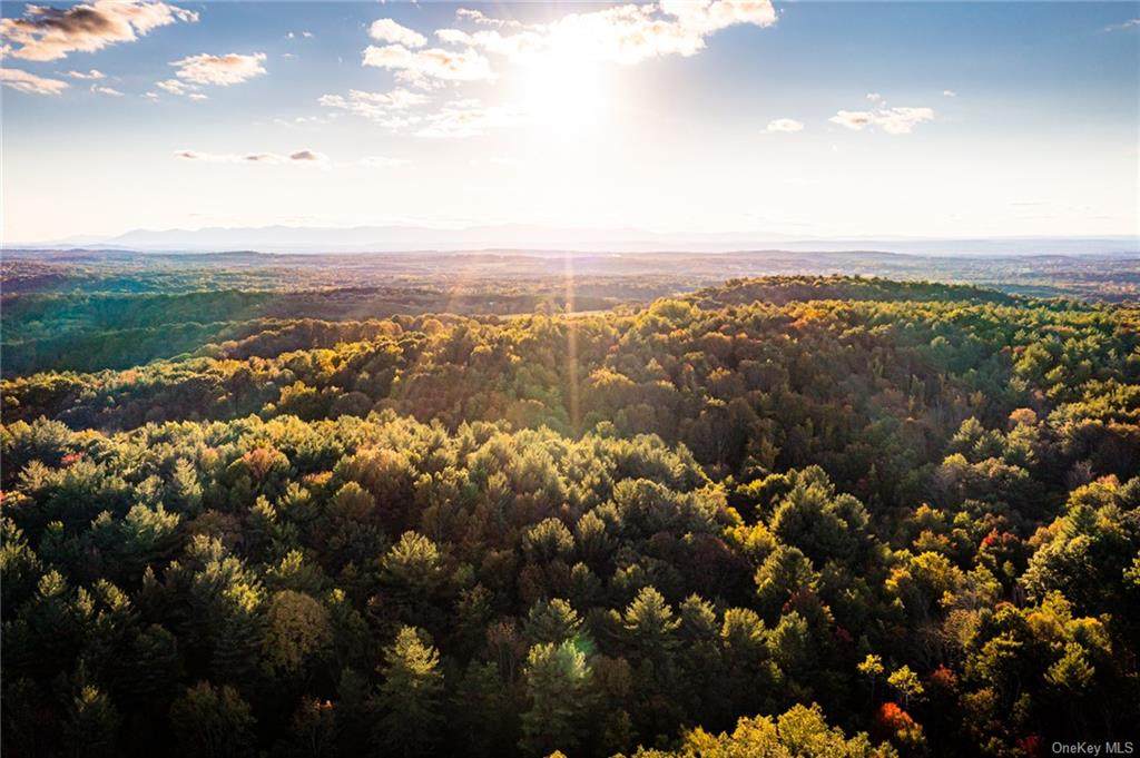 343 State Route 295 - Photo 1