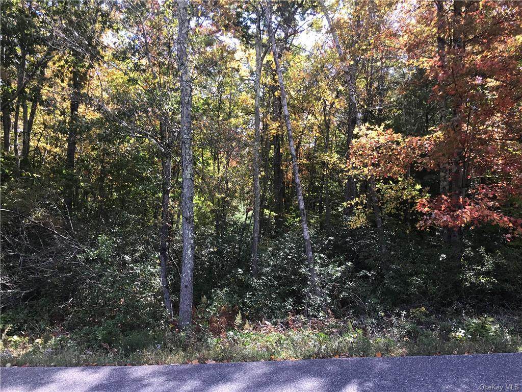 Dowe Road - Photo 1