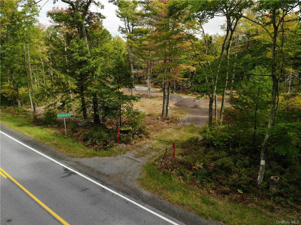 1131 Forestburgh Road - Photo 1