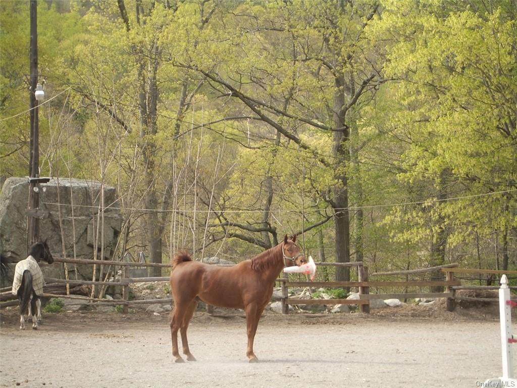 75 Cimarron Road - Photo 1