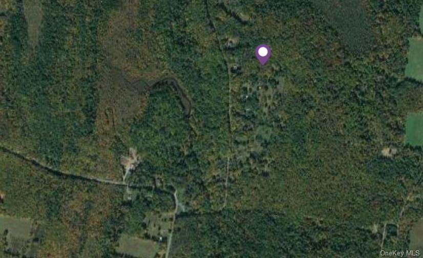 Old Tacy Road - Photo 1