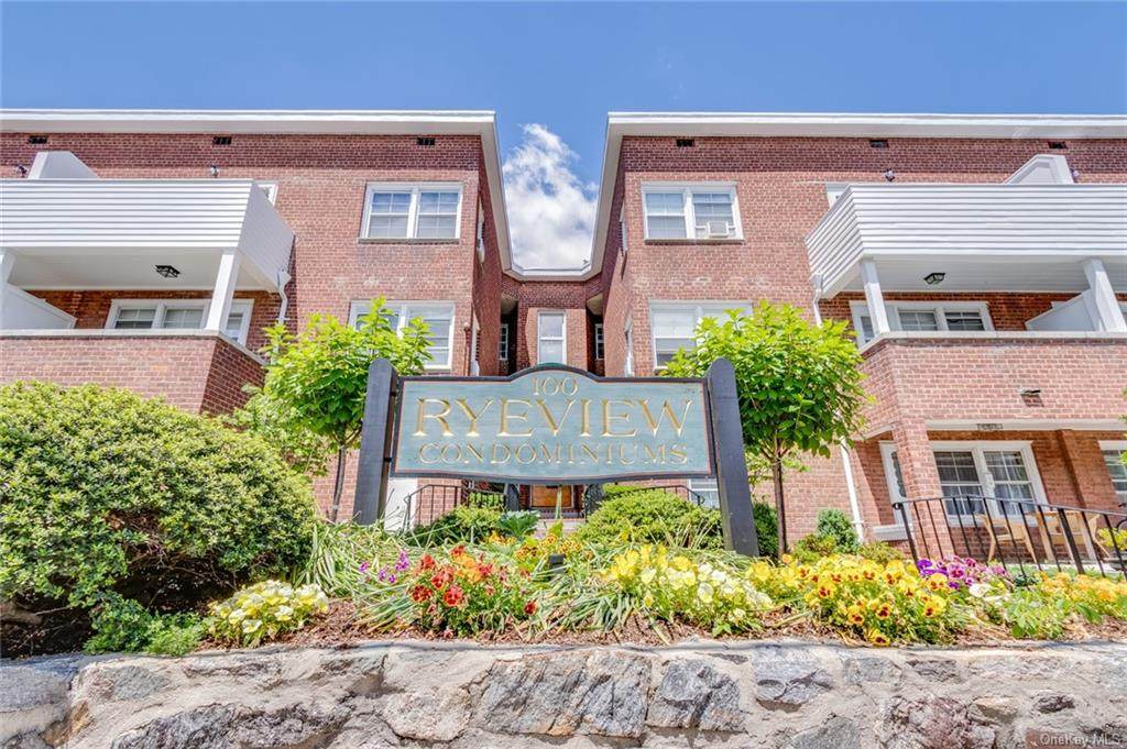 100 Theodore Fremd Avenue - Photo 1