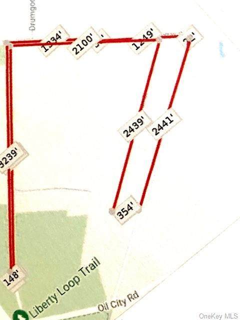 Lot 44.2 Mission Land Road - Photo 1
