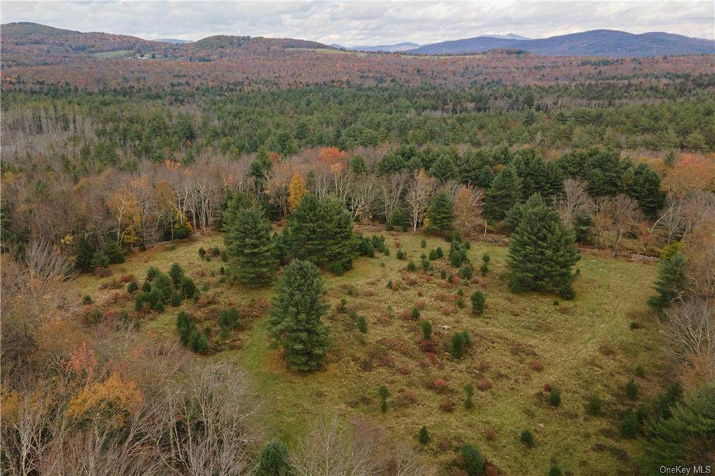 240 Camp Road - Photo 1