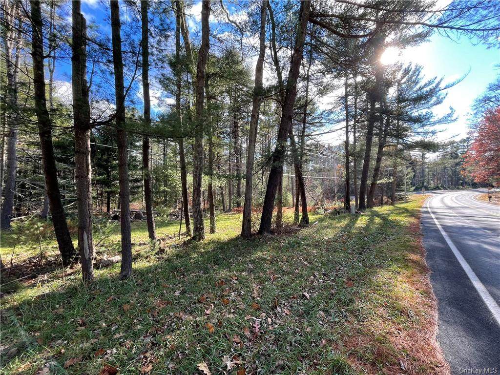 State Route 55 - Photo 1