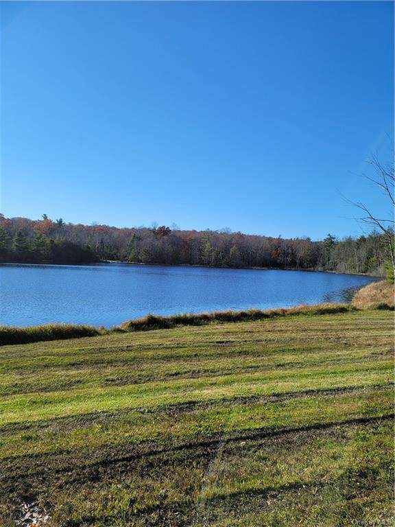 Pine Lake Drive - Photo 1