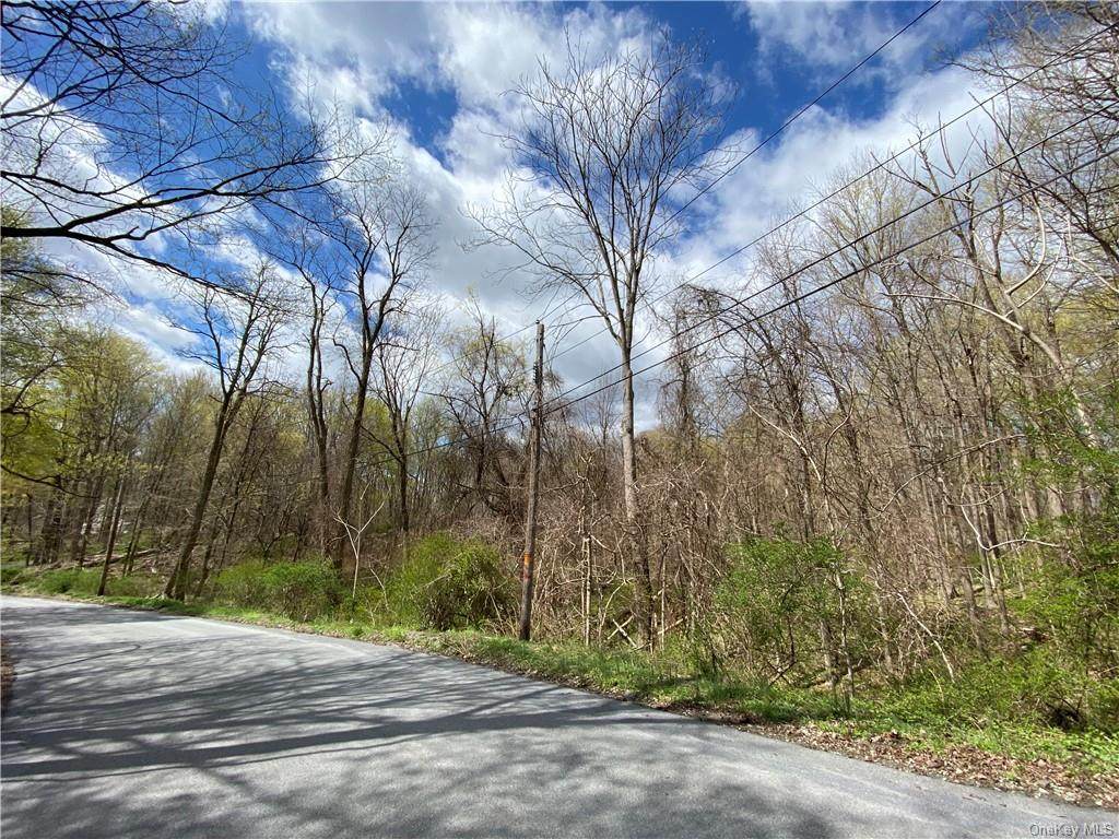 49 Old Wagon Road - Photo 1