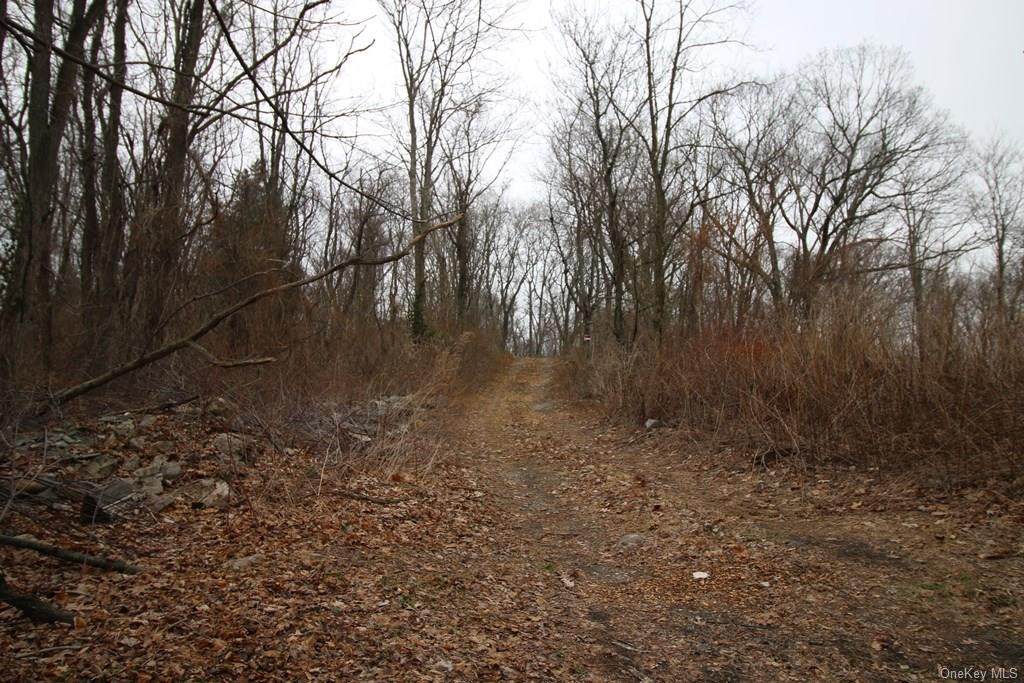 61 Buckout Road - Photo 1
