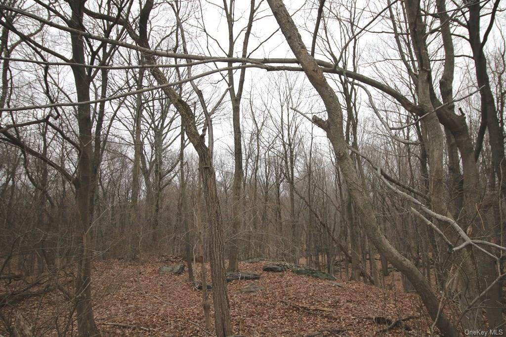 65 Buckout Road - Photo 1