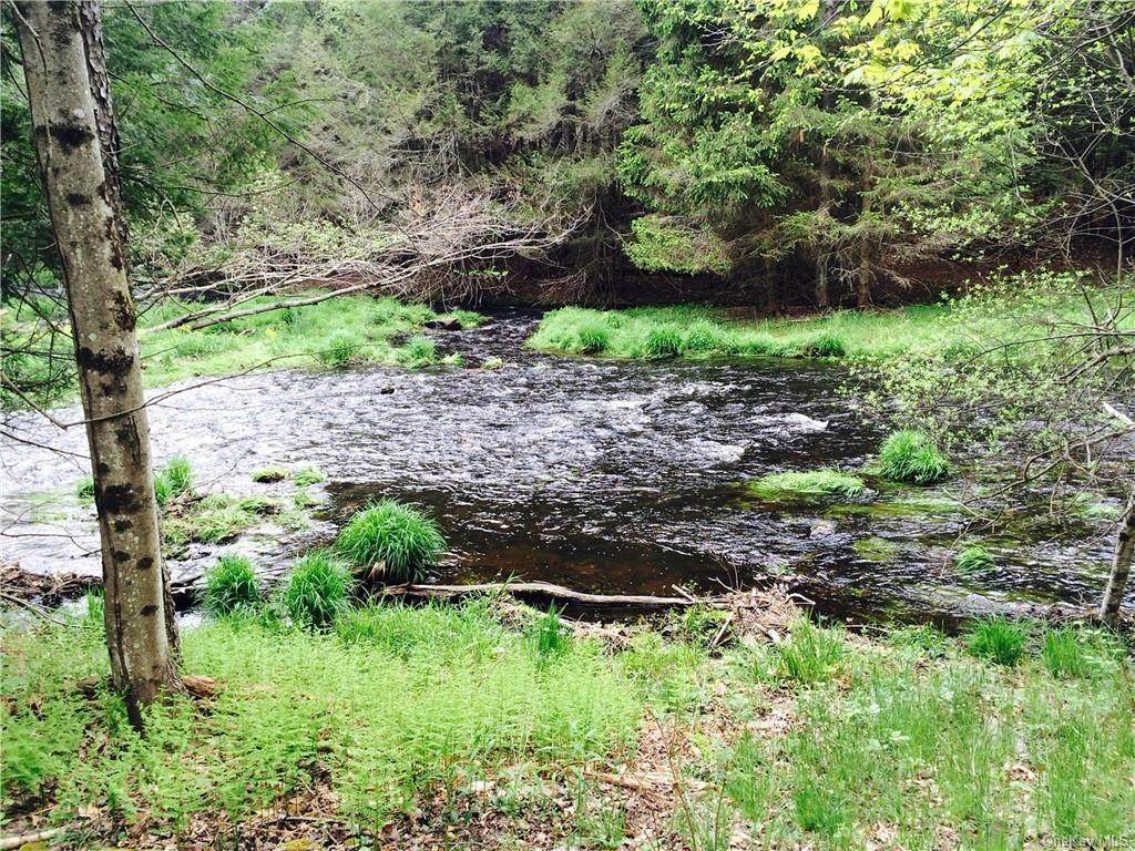 Misty Acres Lot 3B - Photo 1