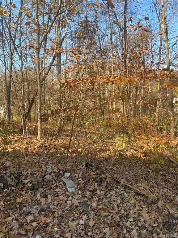 11 White Birch Road - Photo 1