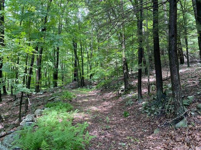 14 Hawk Mountain Drive - Photo 1