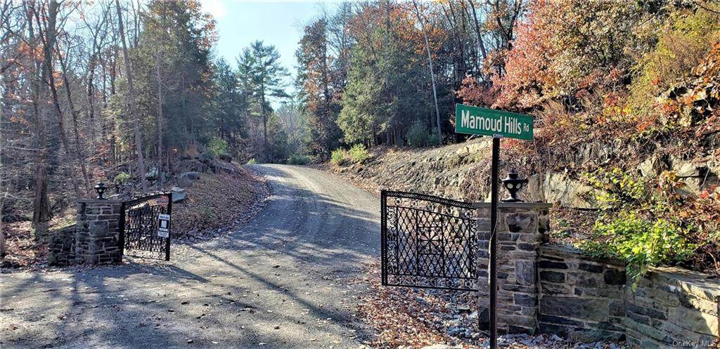 21 Mamoud Hills - Photo 1