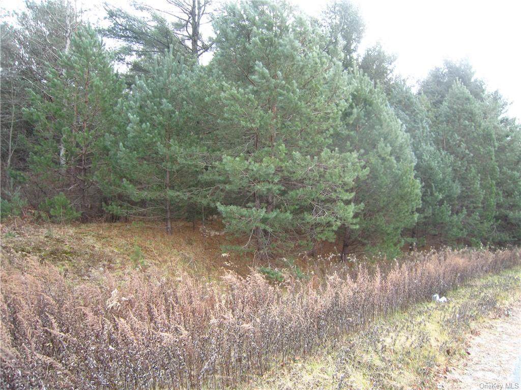 Sunset Lake Road - Photo 1
