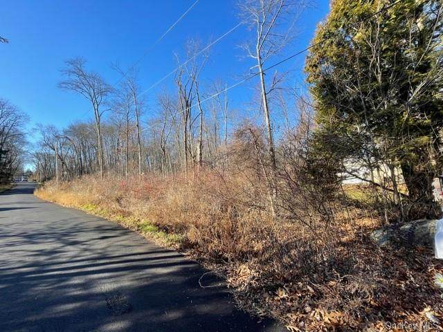 364 Alden Road - Photo 1