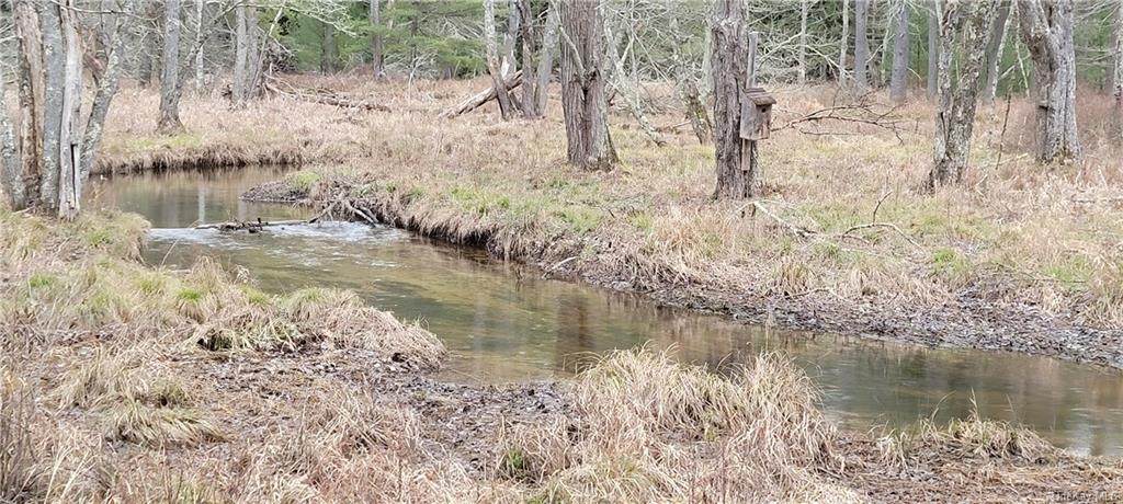 Lot 43 Swamp Pond Road Tr 37 - Photo 1