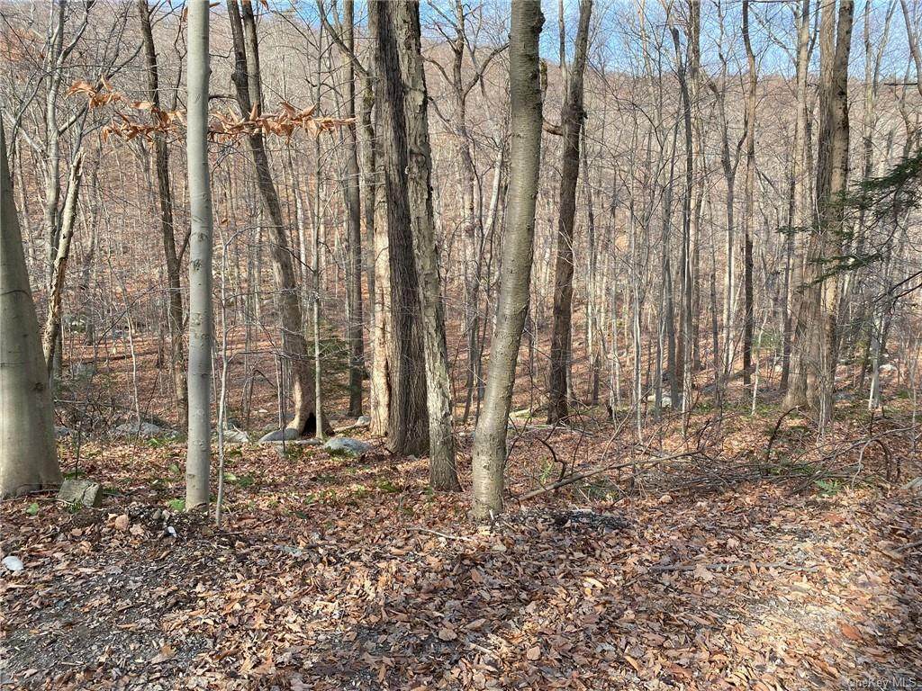 Buttermilk Falls Road - Photo 1