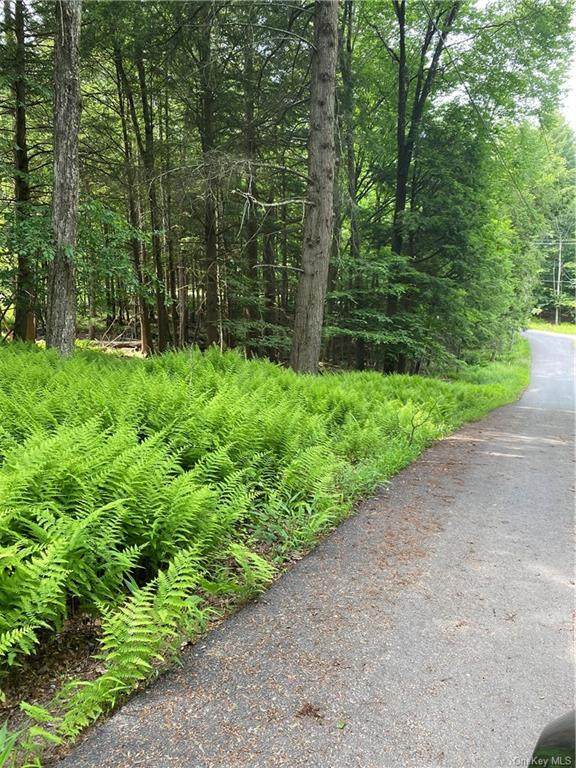 Mohican Trail - Photo 1