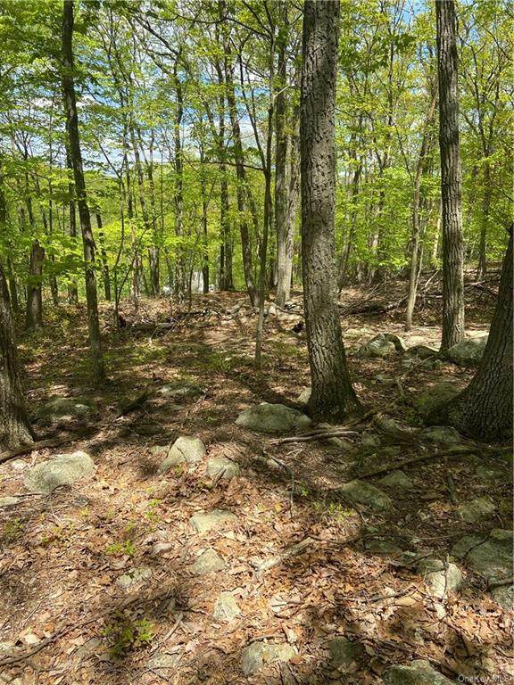 27 Dogwood Road - Photo 1