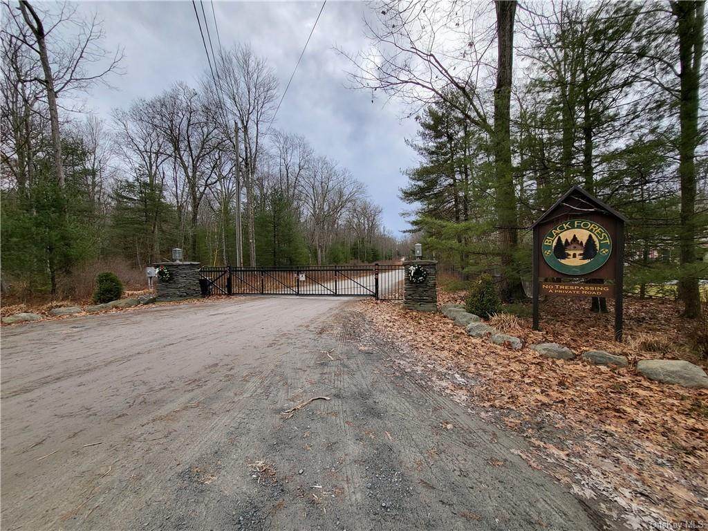 165 Black Forest Road - Photo 1