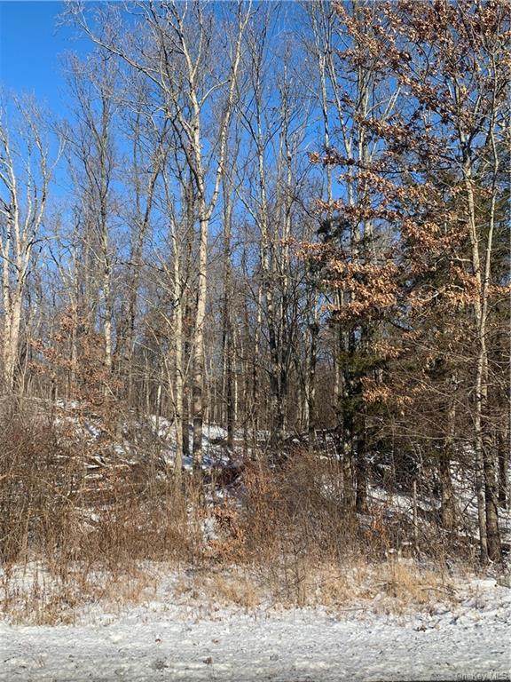 311 Huckleberry Turnpike - Photo 1