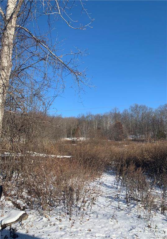 299 Huckleberry Turnpike - Photo 1