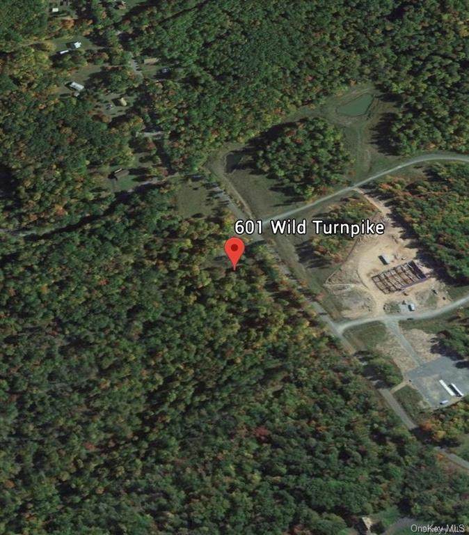 601 Wild Turnpike - Photo 1