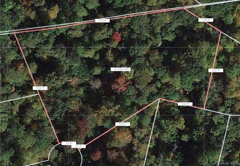 Lot 6 Twin Ridges Road - Photo 1