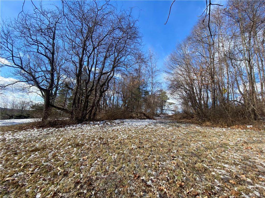 41B Croton Dam Road - Photo 1