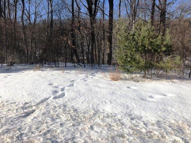 77 Us Route 6 - Photo 1