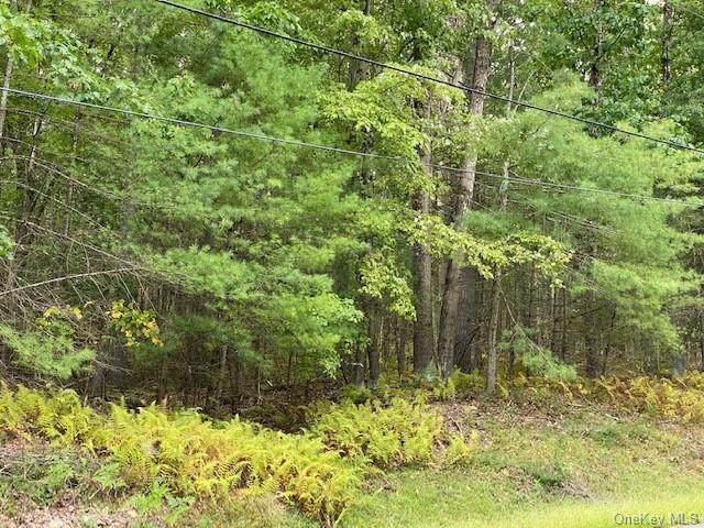 Lot 18.5 Geba Drive - Photo 1